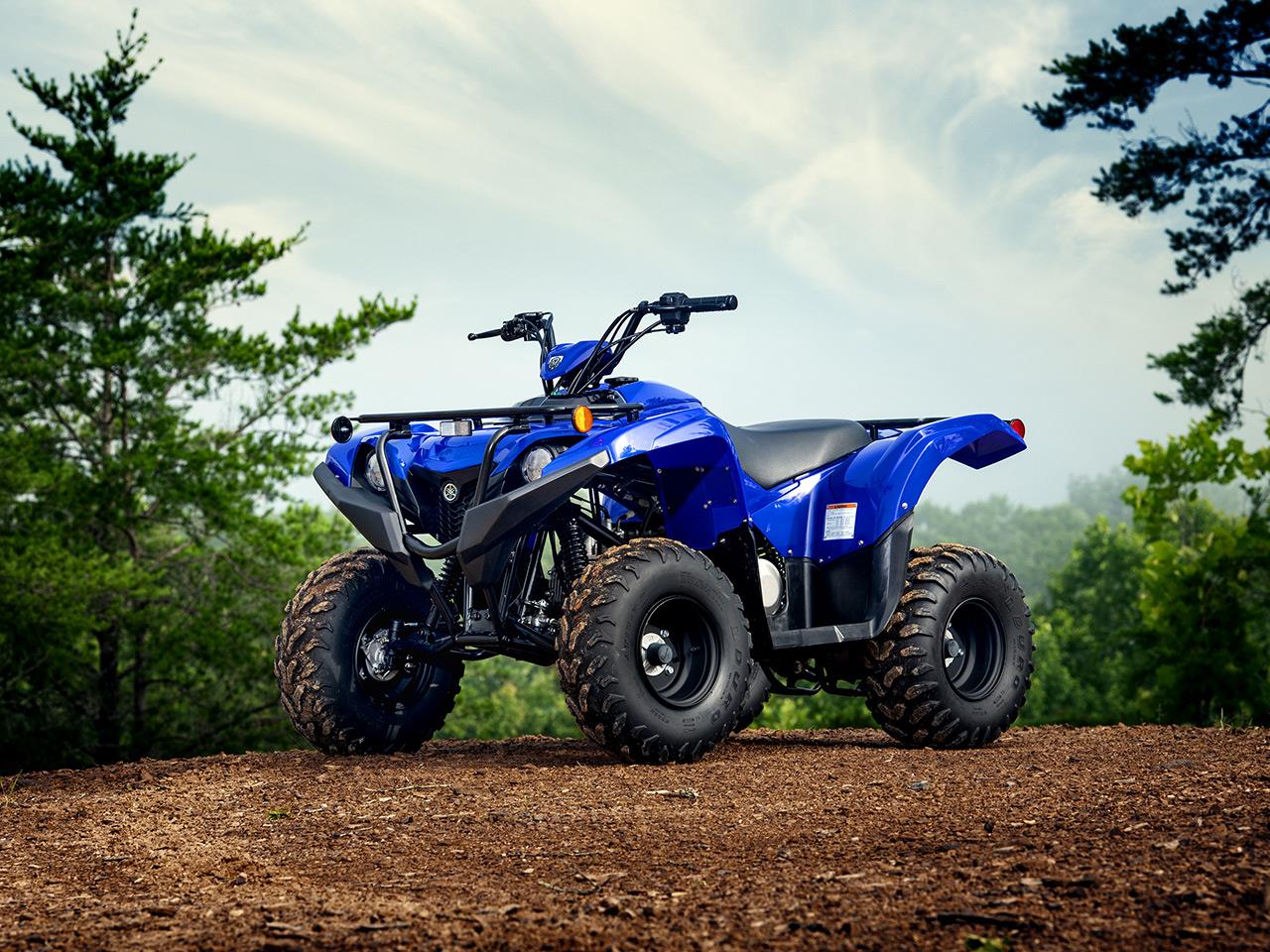 YAMAHA Grizzly 90 Bullet Bikes